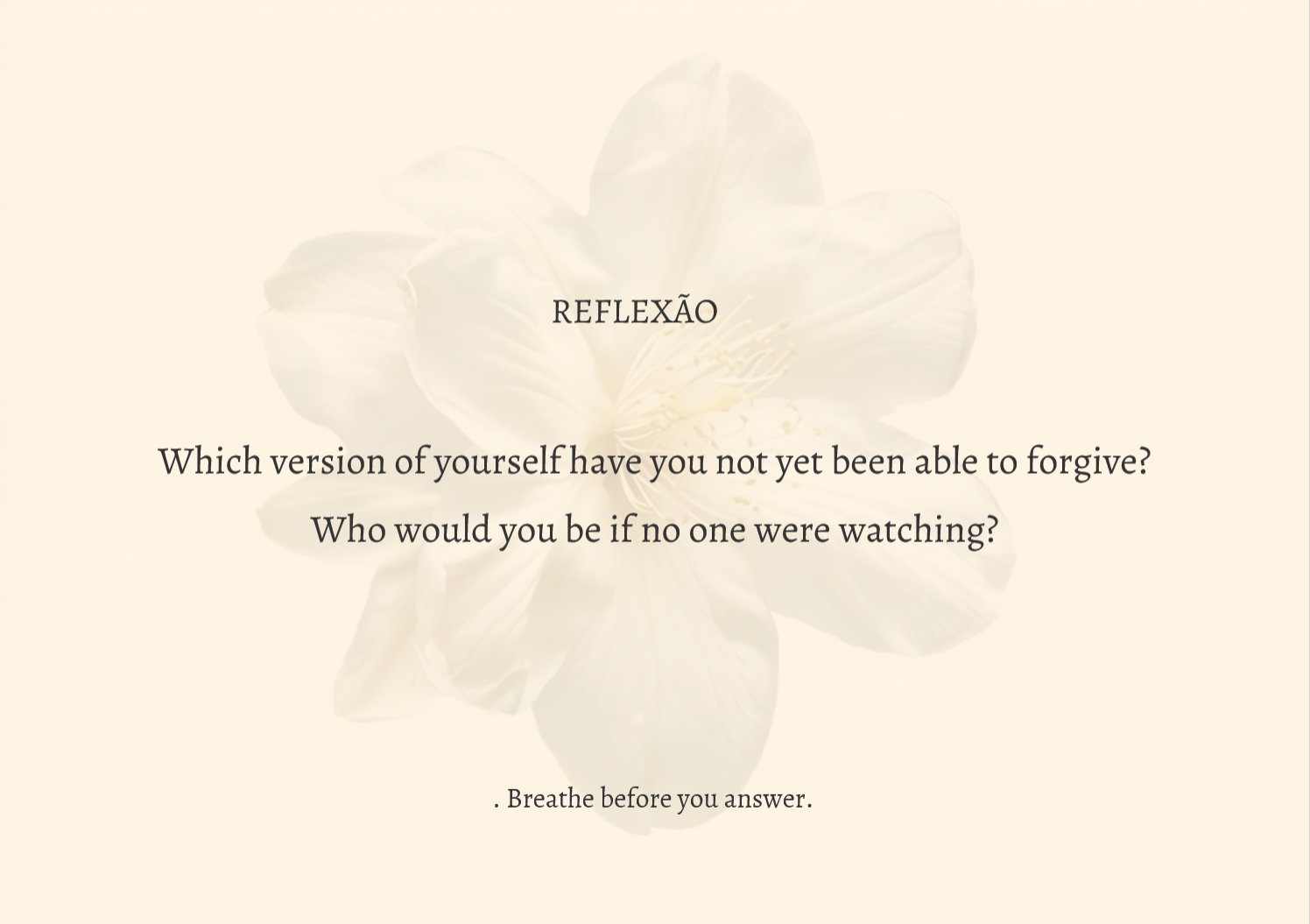 Carta de Reflexão